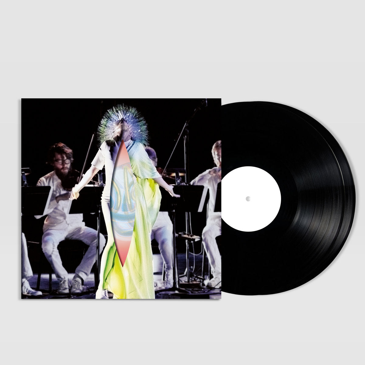 額装品/Bjork（ビョーク）/Vulnicura 2015年/インテリア Björk