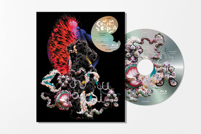 Björk - Cornucopia : Live