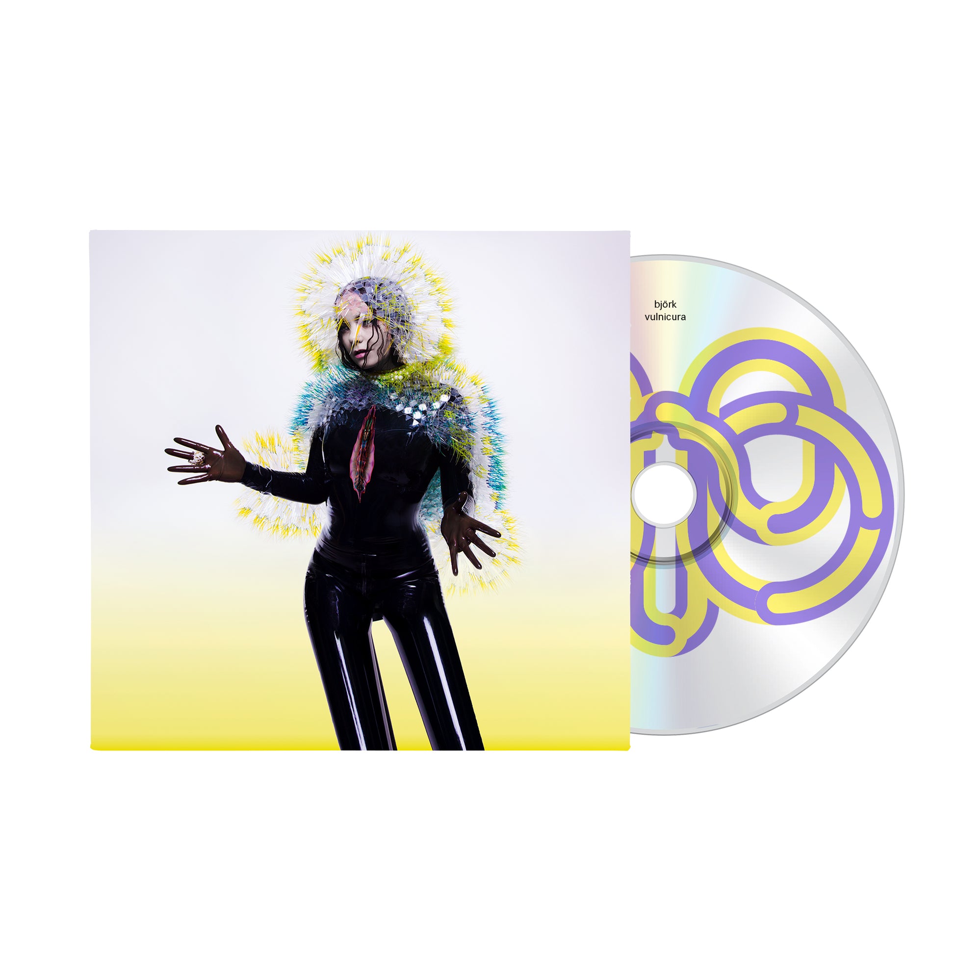 【非売品】bjork ビョーク『Vulnicura』ポスター　未使用品 Bjork / Vulnicura 2015 Japan Original Promo Poster B2