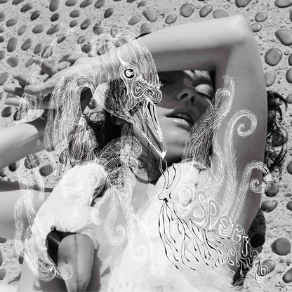 Björk ‎- Vespertine