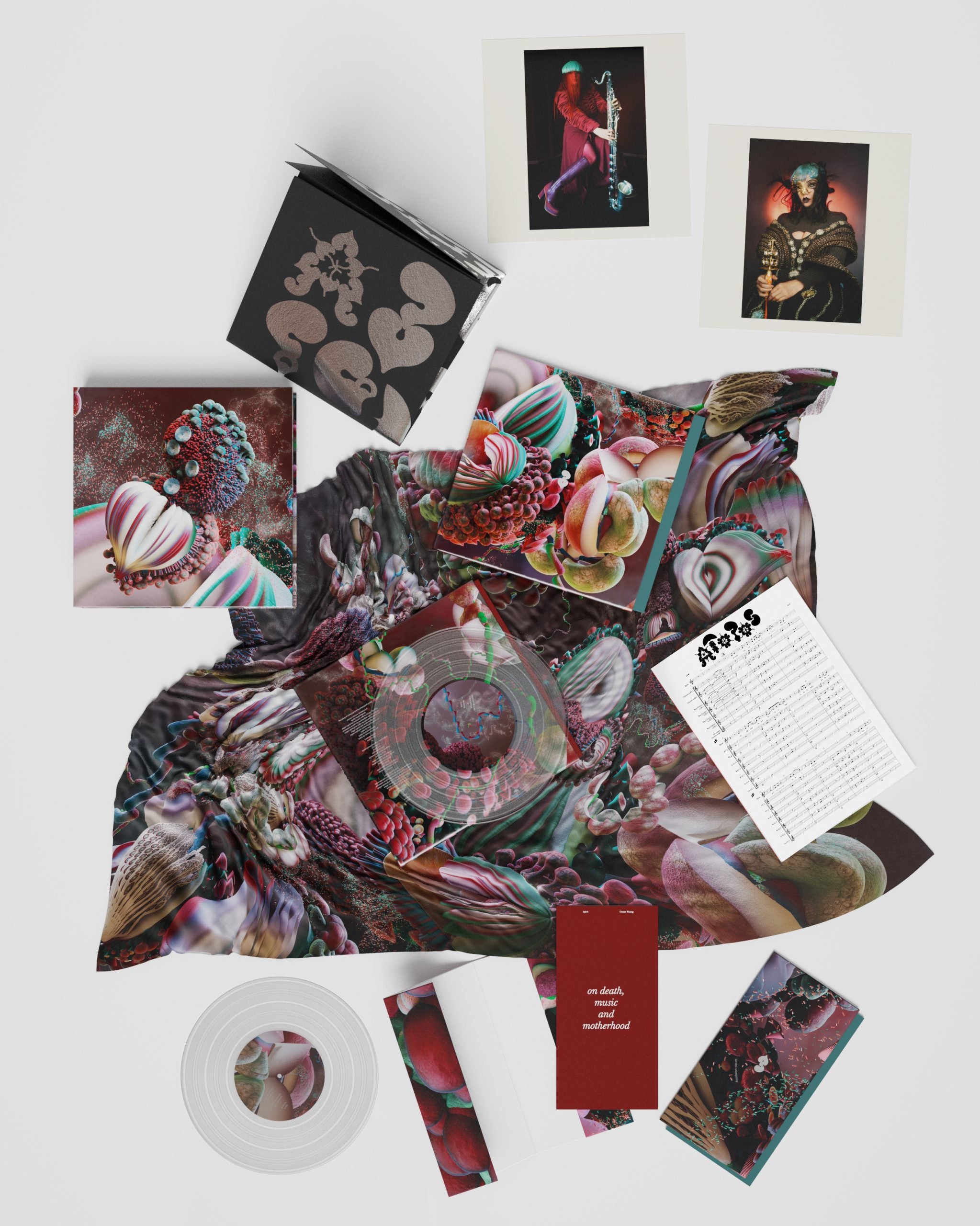 BJORK EARTH INTRDDERS LP 新品未使用 Bjork earth intruders lp and cd – Seattle Records