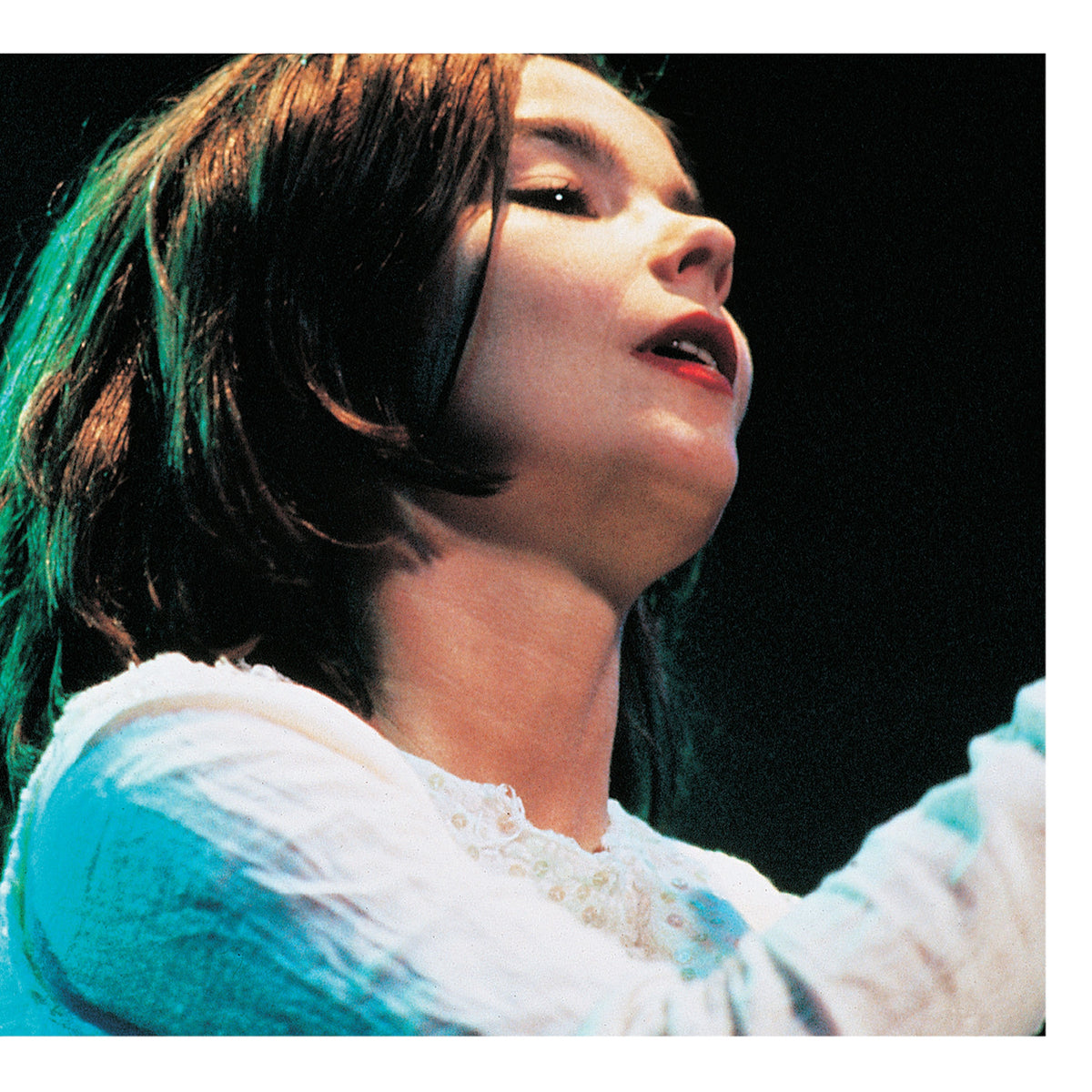 Björk CD+VIDEOセット BJÖRK The Music Video Anthology 2 Blu-ray Set DVD BJORK