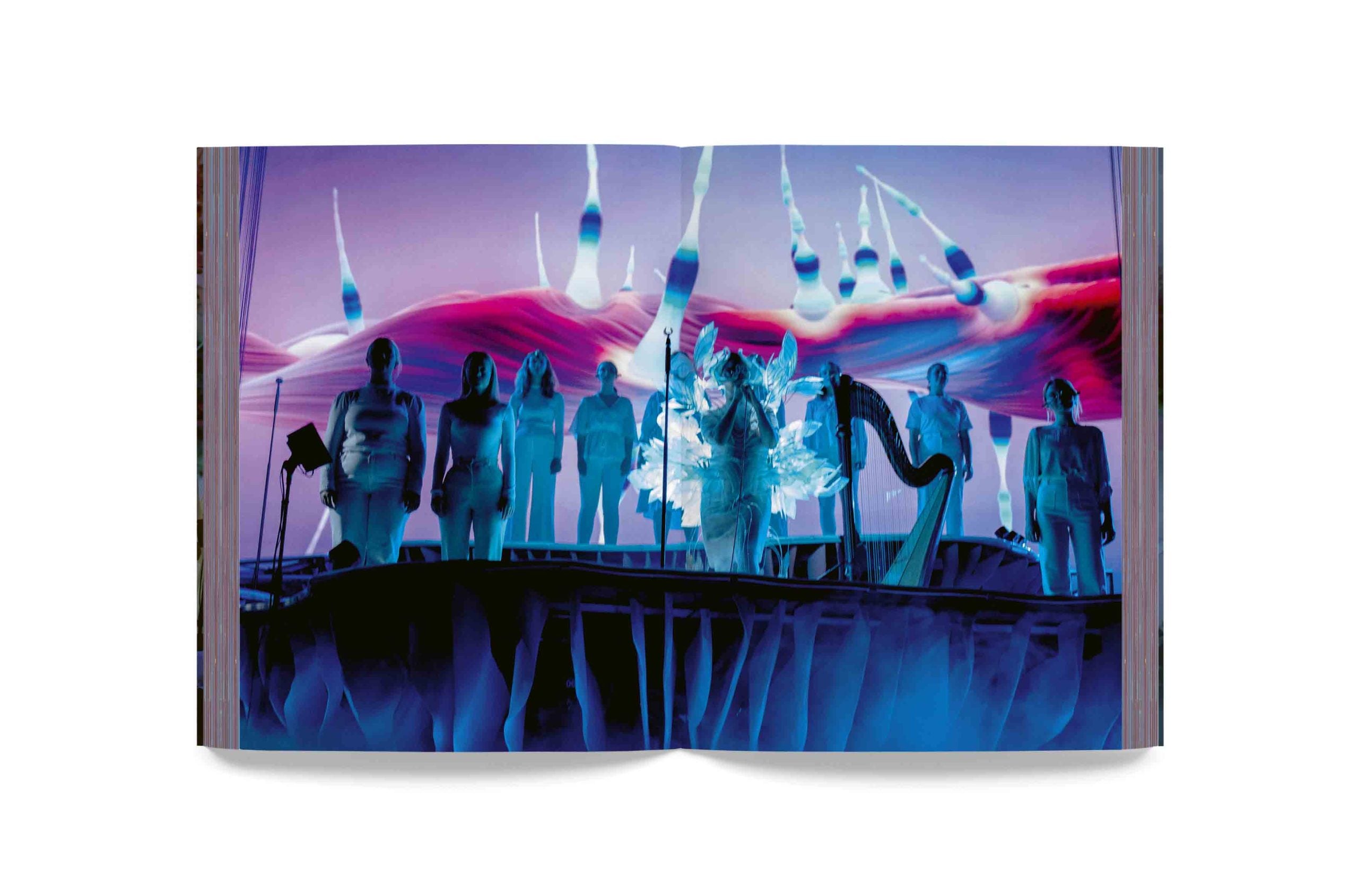 Bjork ビョーク cornucopia PLUM T L 新品 Björk - Cornucopia Book – Björk Official Store